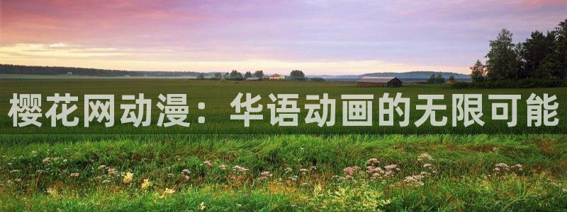 囧次元官方正版网站：樱花网动漫：华语动画的无限可能
