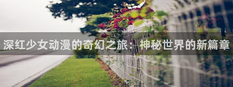 囧次元最新版官方正版：深红少女动漫的奇幻之旅：神秘世界的新篇章