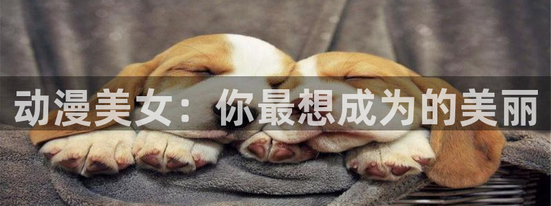 囧次元新版本下载：动漫美女：你最想成为的美丽