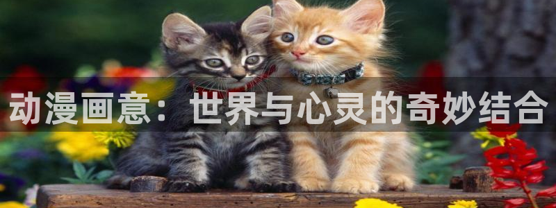 囧次元官方正版：动漫画意：世界与心灵的奇妙结合