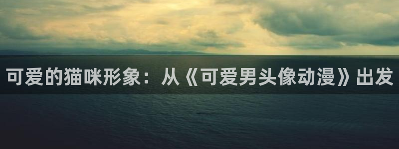 囧次元在线观看入口网址：可爱的猫咪形象：从《可爱男头像动漫》出发