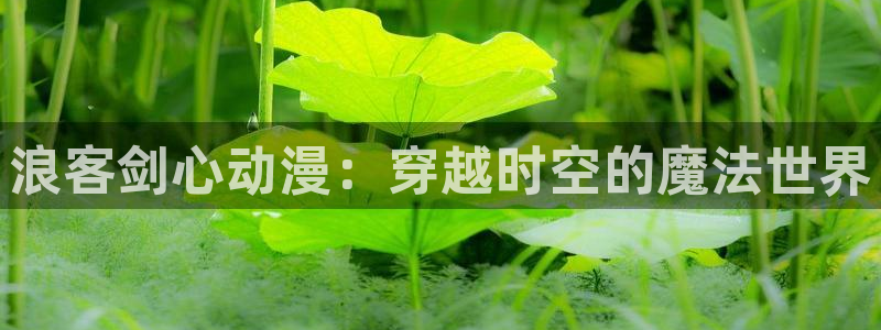 囧次元官方：浪客剑心动漫：穿越时空的魔法世界