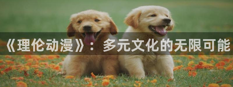 囧次元下载最新：《理伦动漫》：多元文化的无限可能