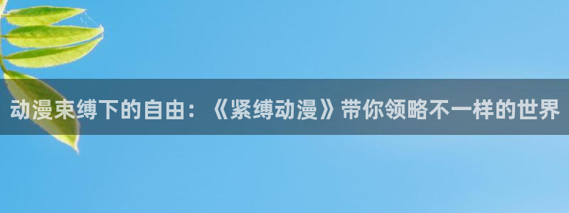 囧次元网站：动漫束缚下的自由：《紧缚动漫》带你领略不一样的世界