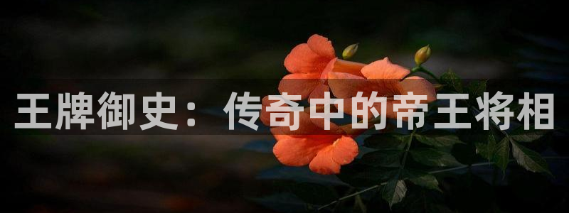 jcyapp囧次元官网入口：王牌御史：传奇中的帝王将相