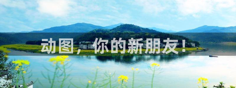 囧次元最新下载链接：动图，你的新朋友！