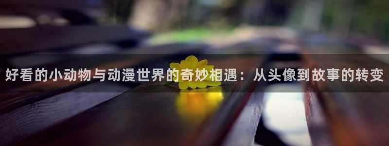 囧次元在线网站免费入口：好看的小动物与动漫世界的奇妙相遇：从头像到故事的转变