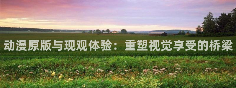 囧次元新版本下载：动漫原版与现观体验：重塑视觉享受的桥梁