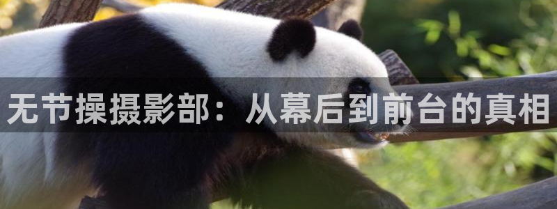 囧次元动漫官网入口：无节操摄影部：从幕后到前台的真相