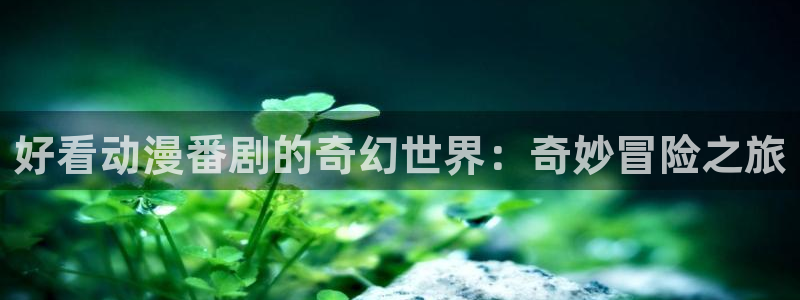 囧次元官方网站网址：好看动漫番剧的奇幻世界：奇妙冒险之旅
